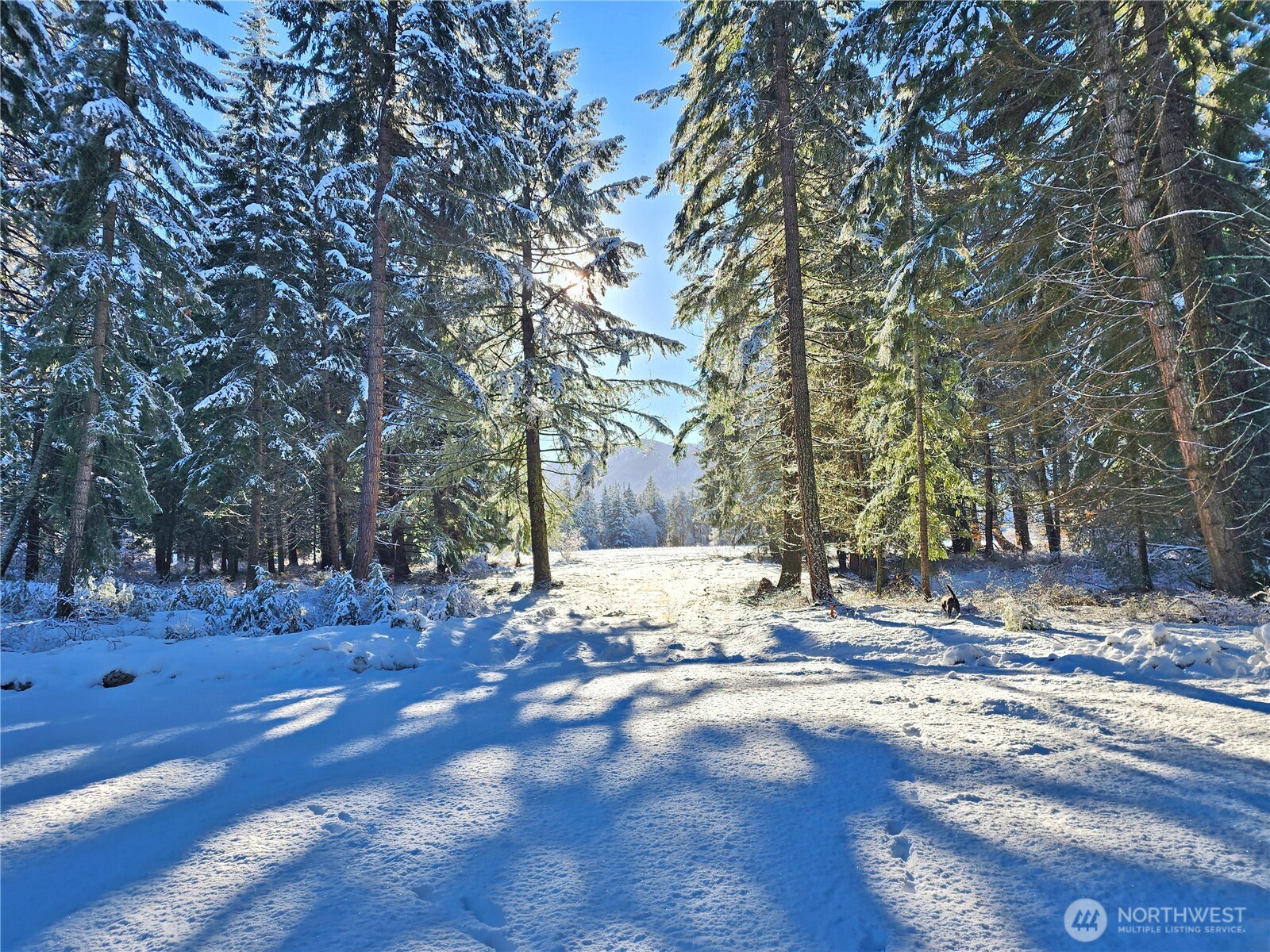 0 NVLot 5 Nelson View Way