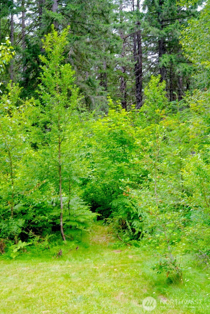 91 Blue Spruce Drive