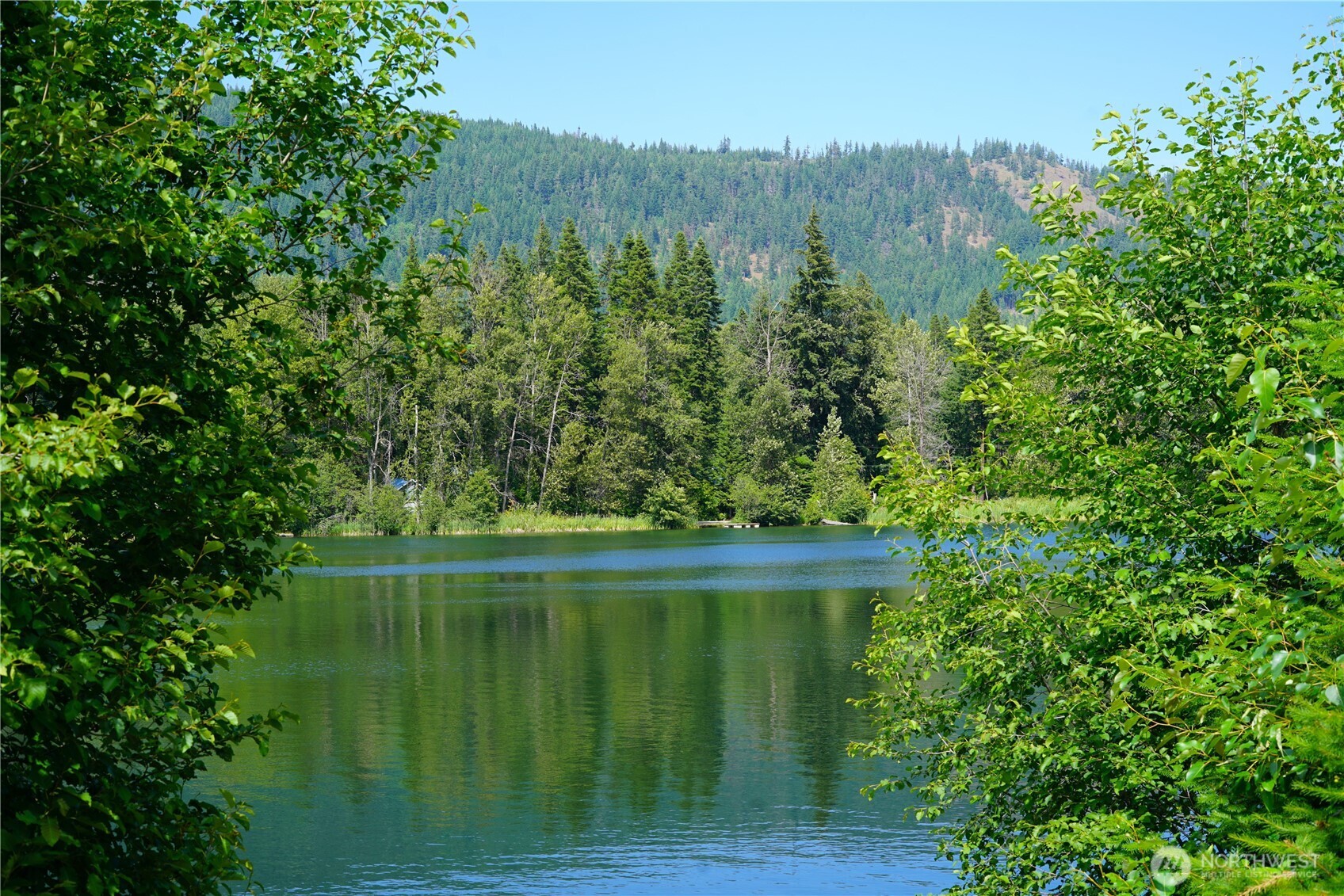 91 Blue Spruce Drive