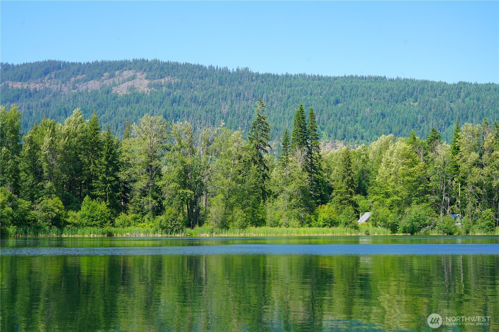 91 Blue Spruce Drive