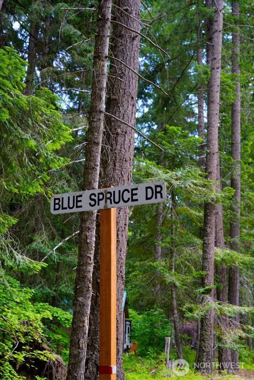 91 Blue Spruce Drive