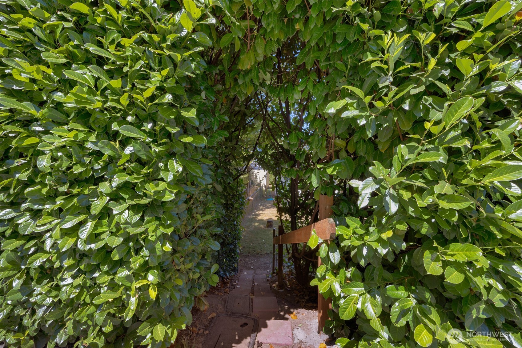 533 E Division Street