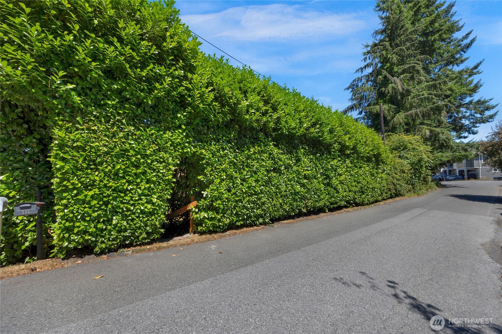 533 E Division Street