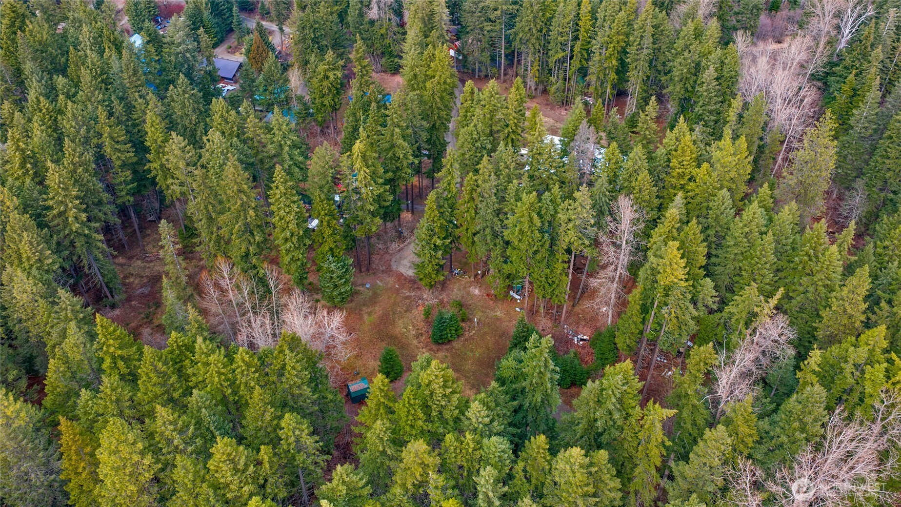 91 Blue Spruce Drive