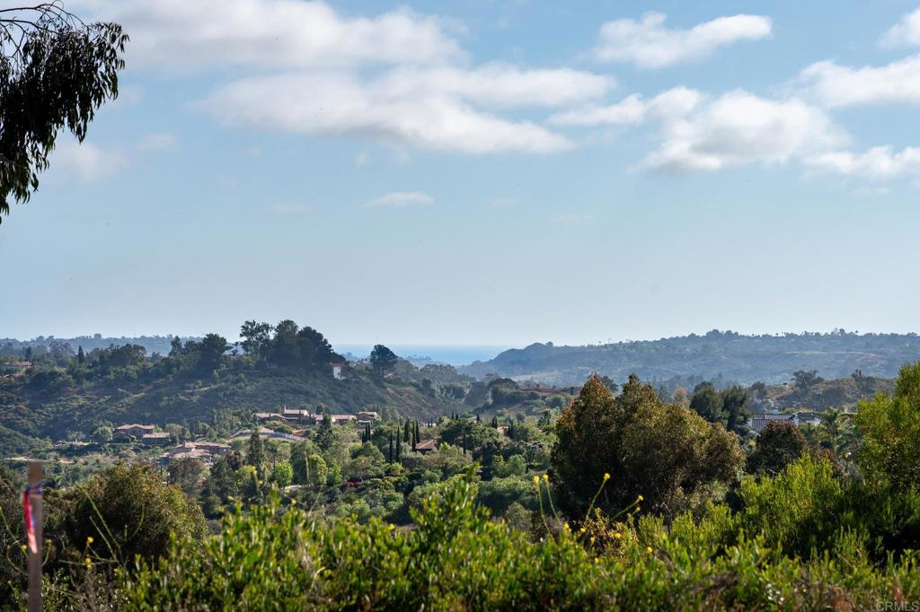 6251 Calle Ponte Bella