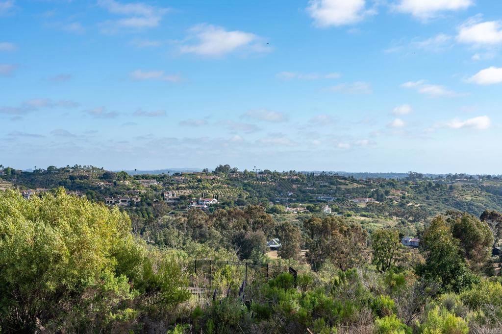 6251 Calle Ponte Bella