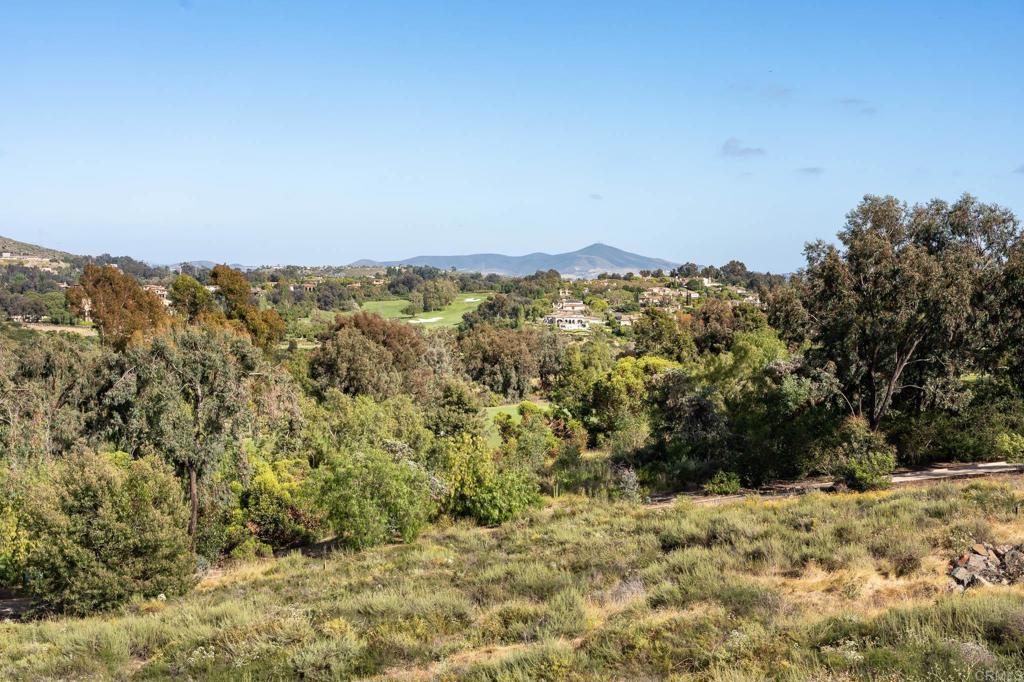 6220 Calle Ponte Bella