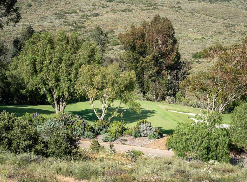 6220 Calle Ponte Bella