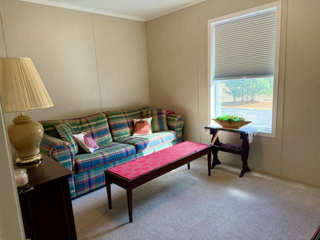 219 Daisy Lane, Saranac Lake