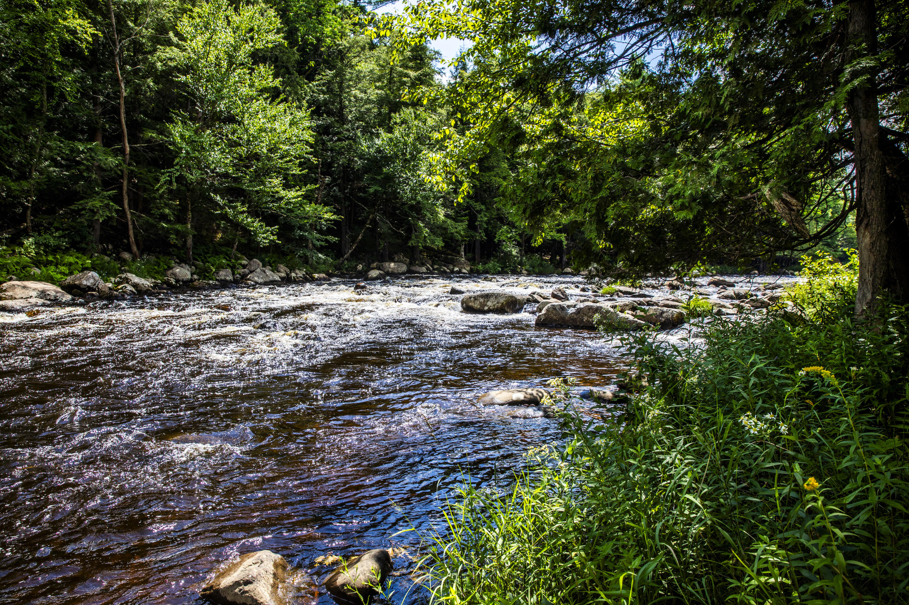 22 Ausable Run Lane