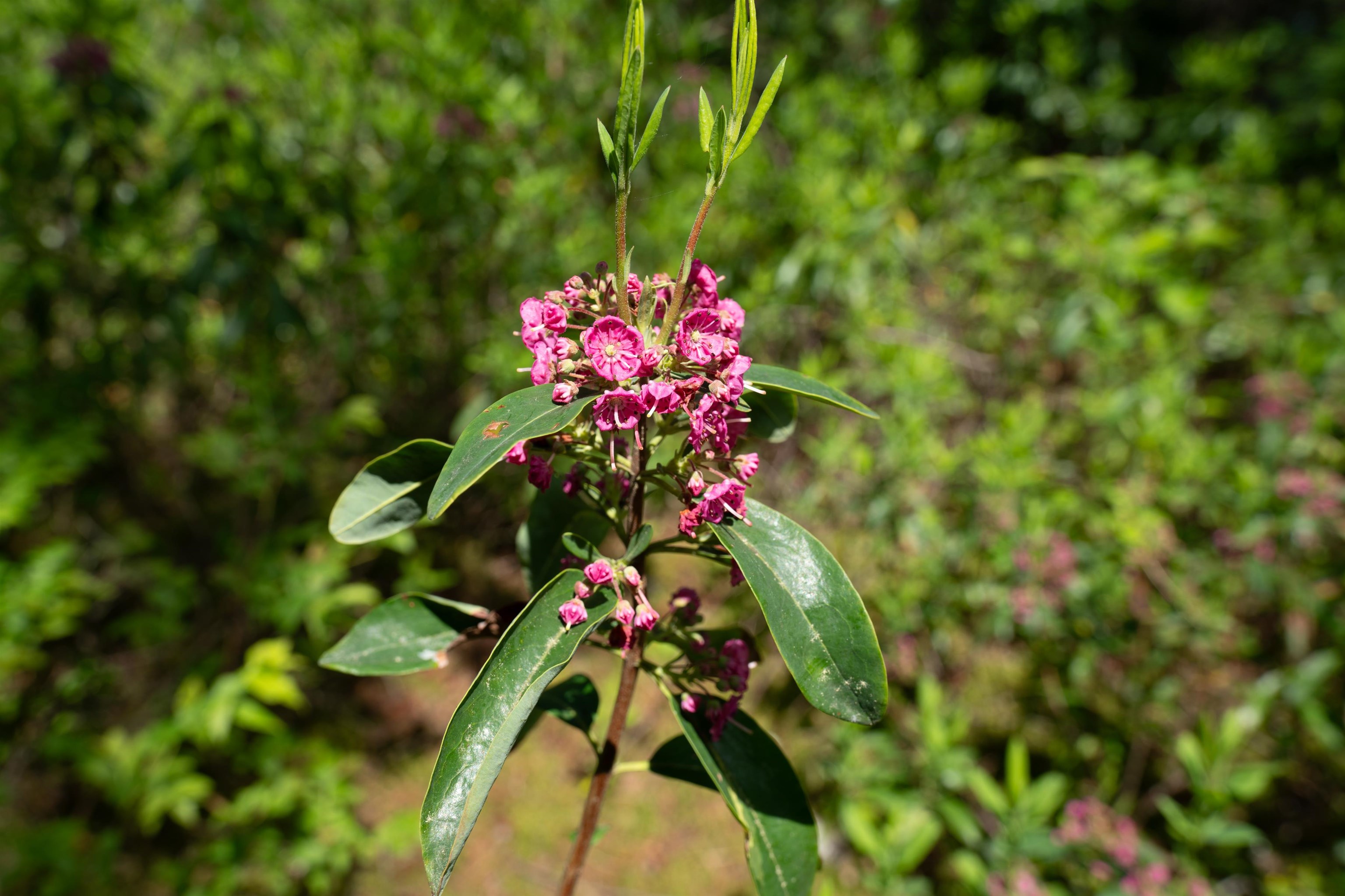 1362 Taylor Road Unit: Rich Island - Metcalf Pond