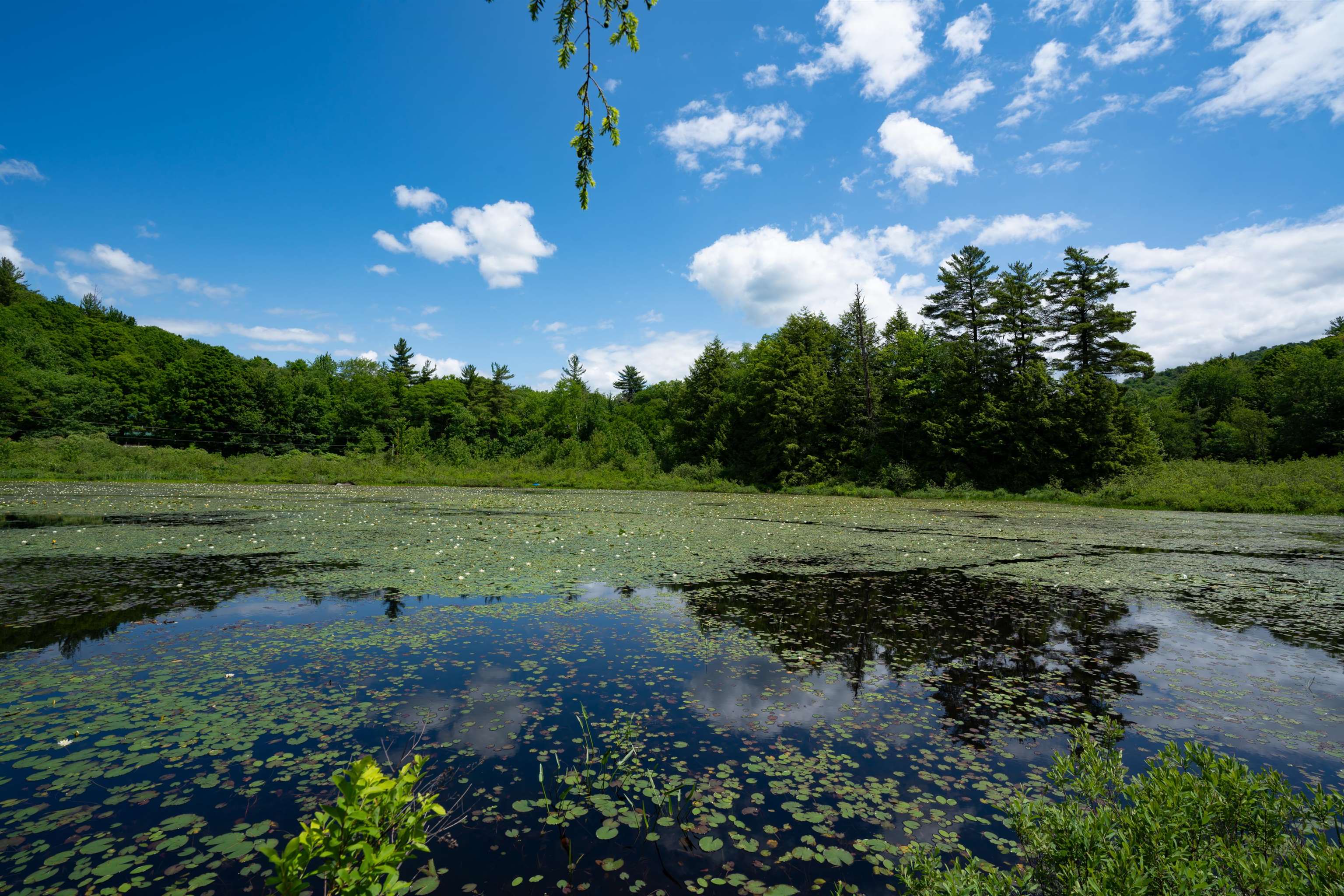 1362 Taylor Road Unit: Rich Island - Metcalf Pond