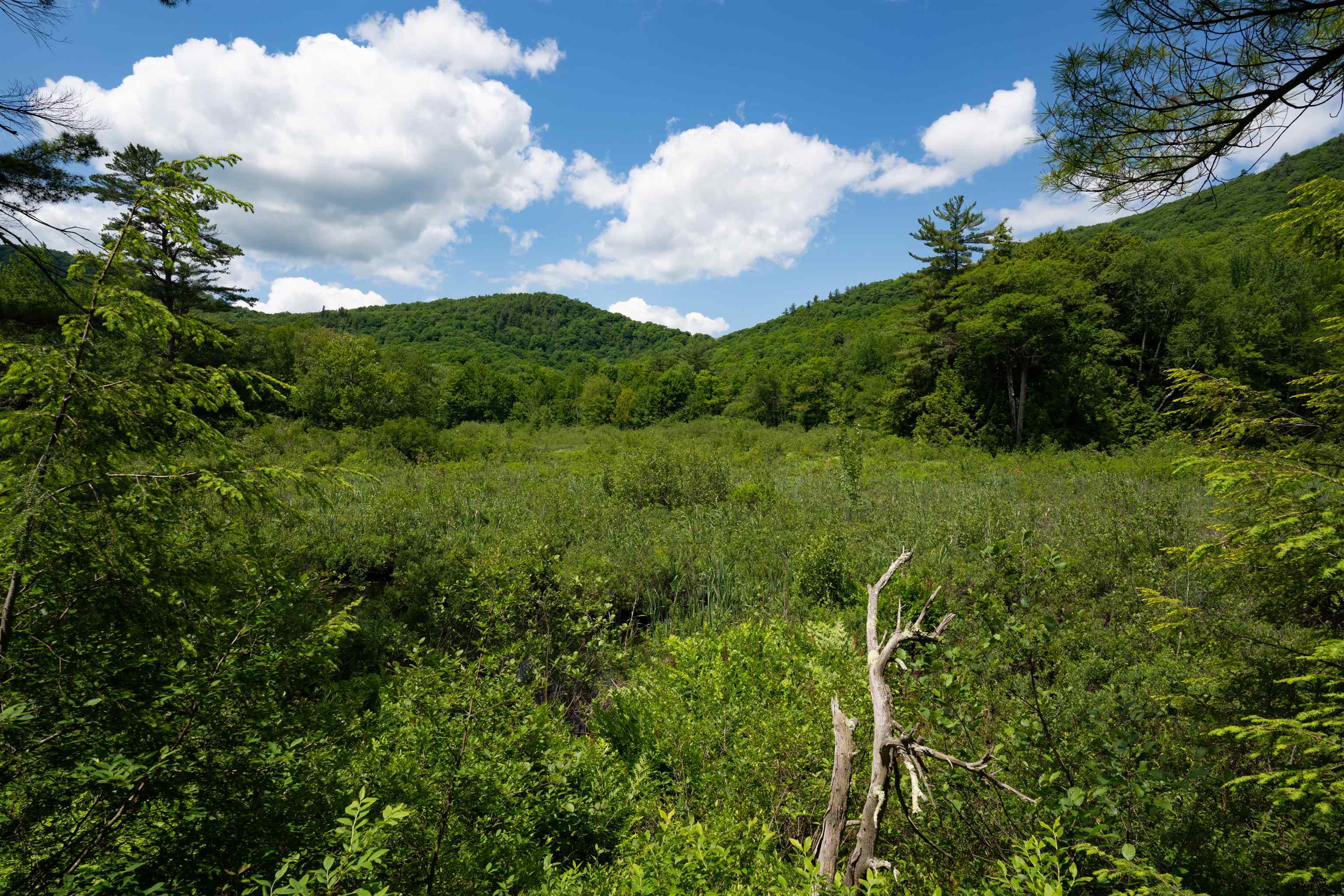 1362 Taylor Road Unit: Rich Island - Metcalf Pond