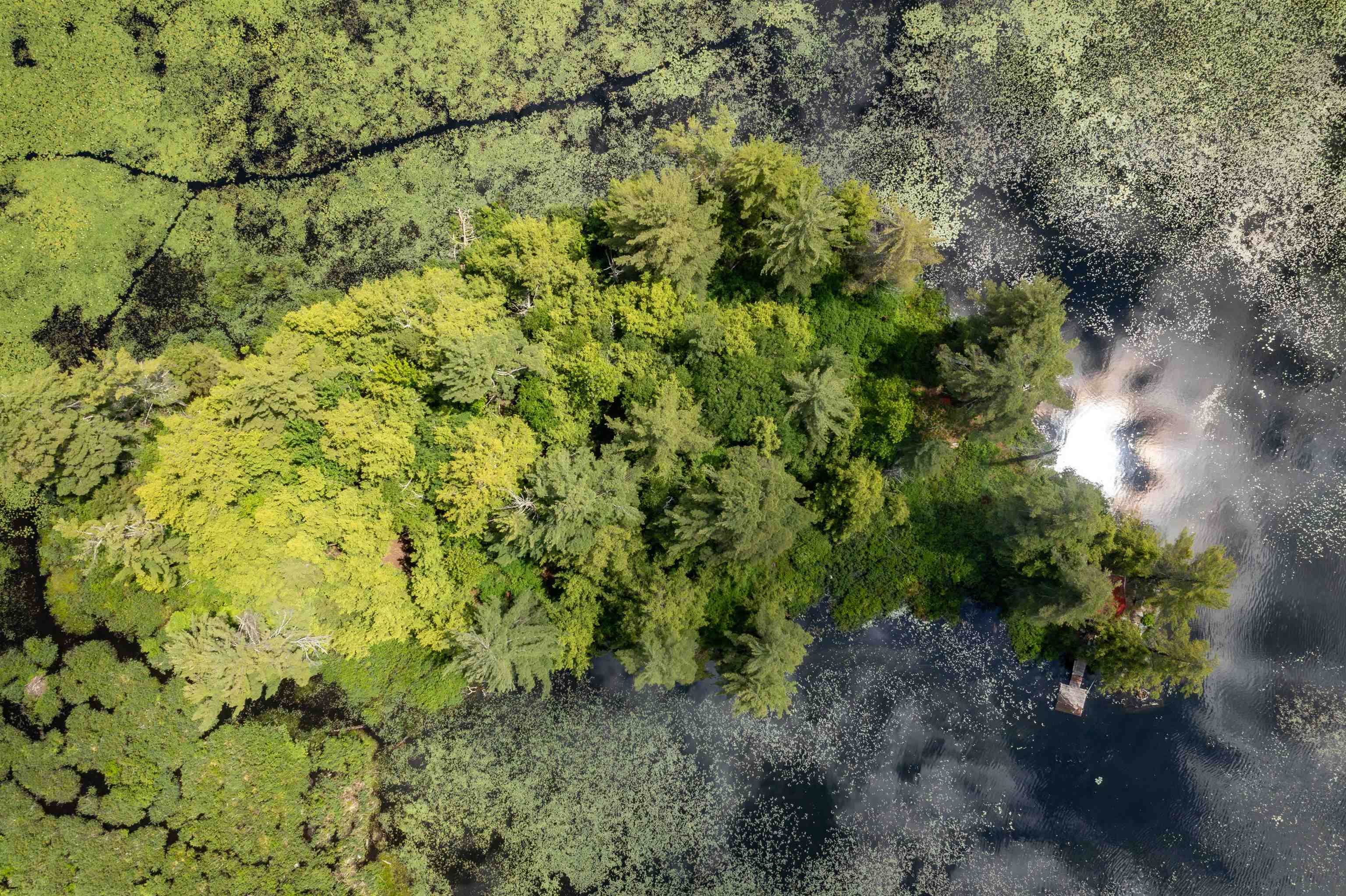 1362 Taylor Road Unit: Rich Island - Metcalf Pond