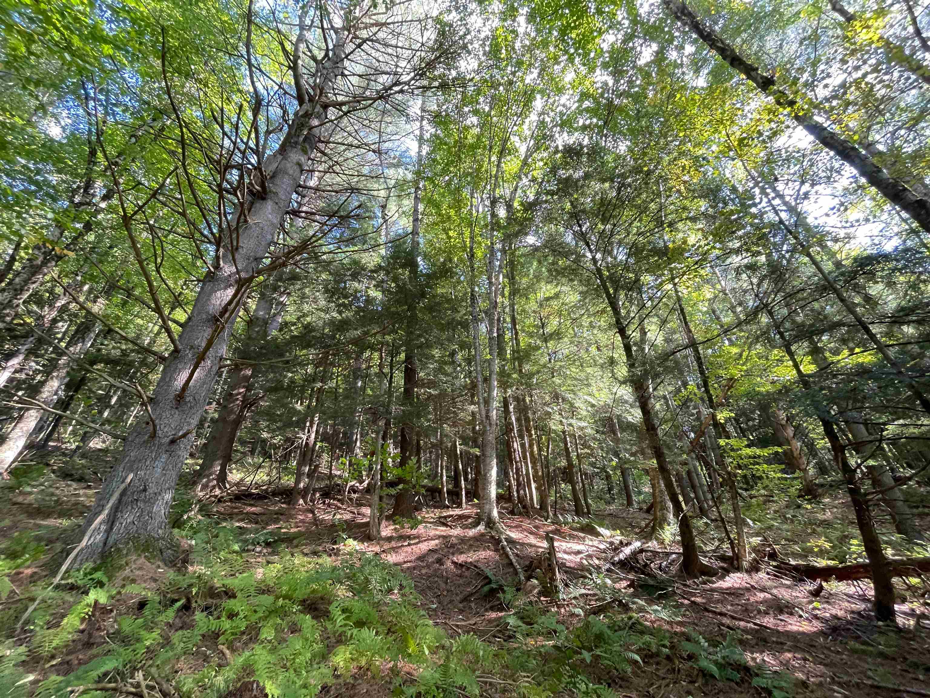 850 Bakersfield Road