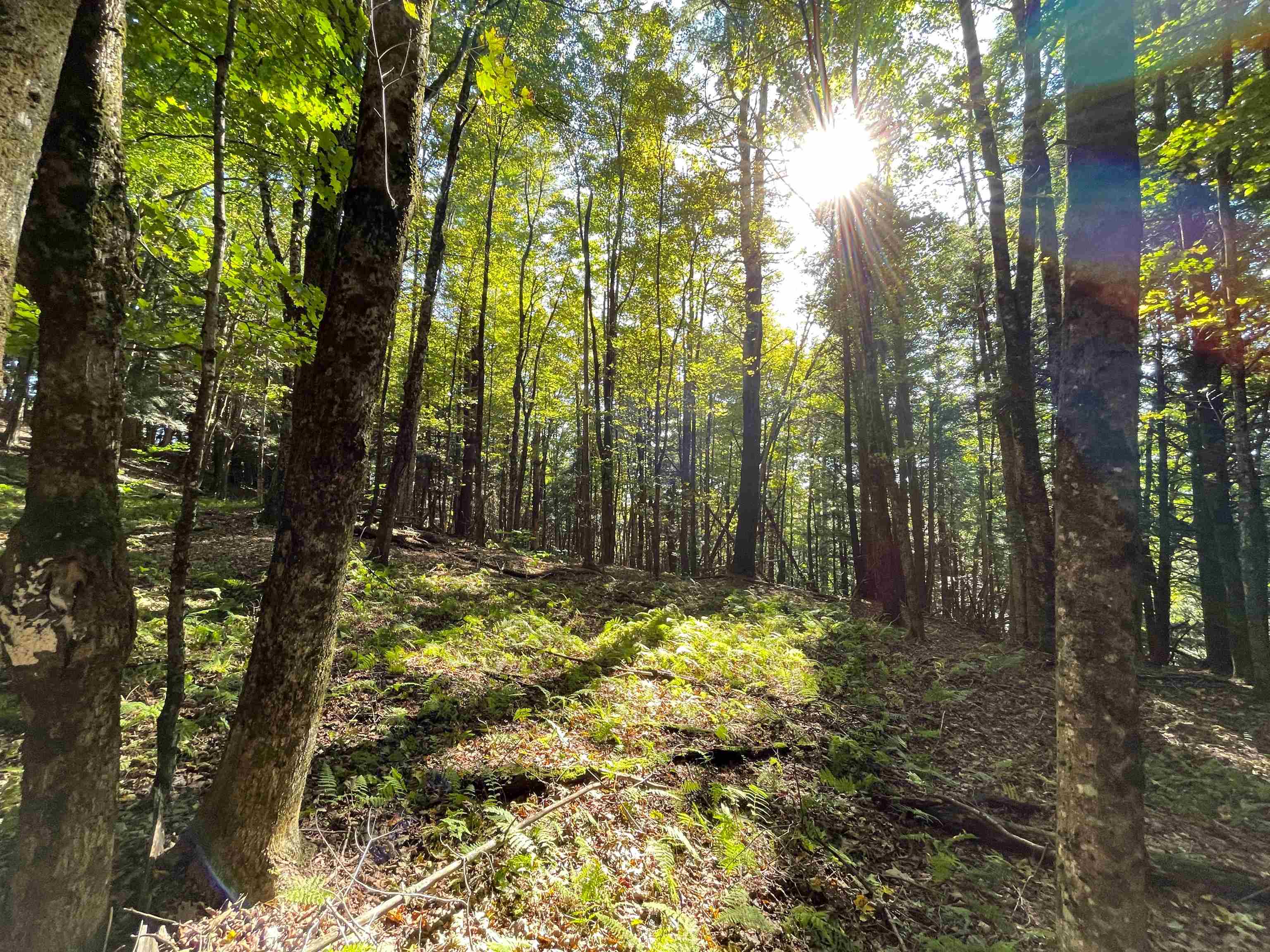 850 Bakersfield Road