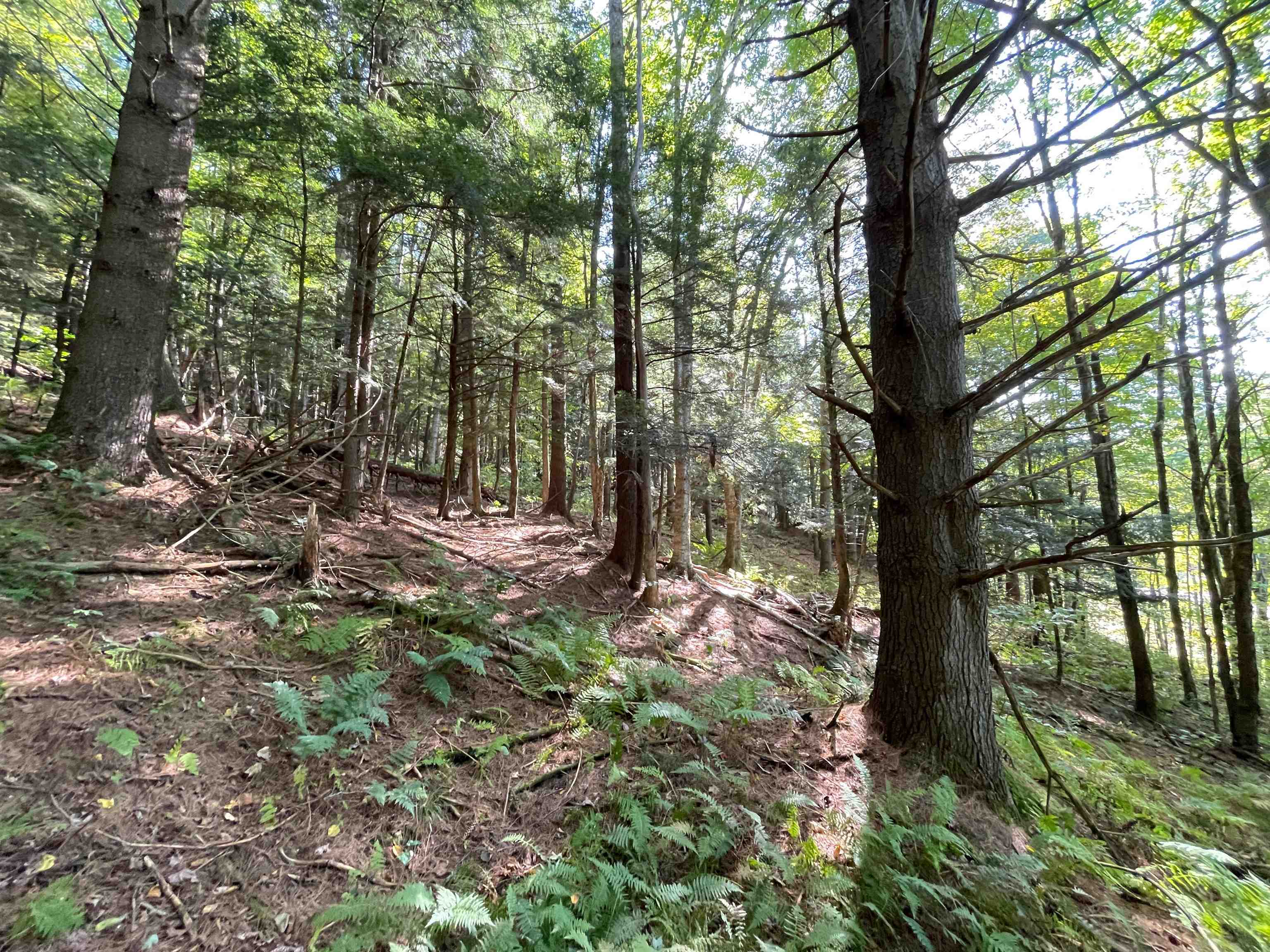 850 Bakersfield Road