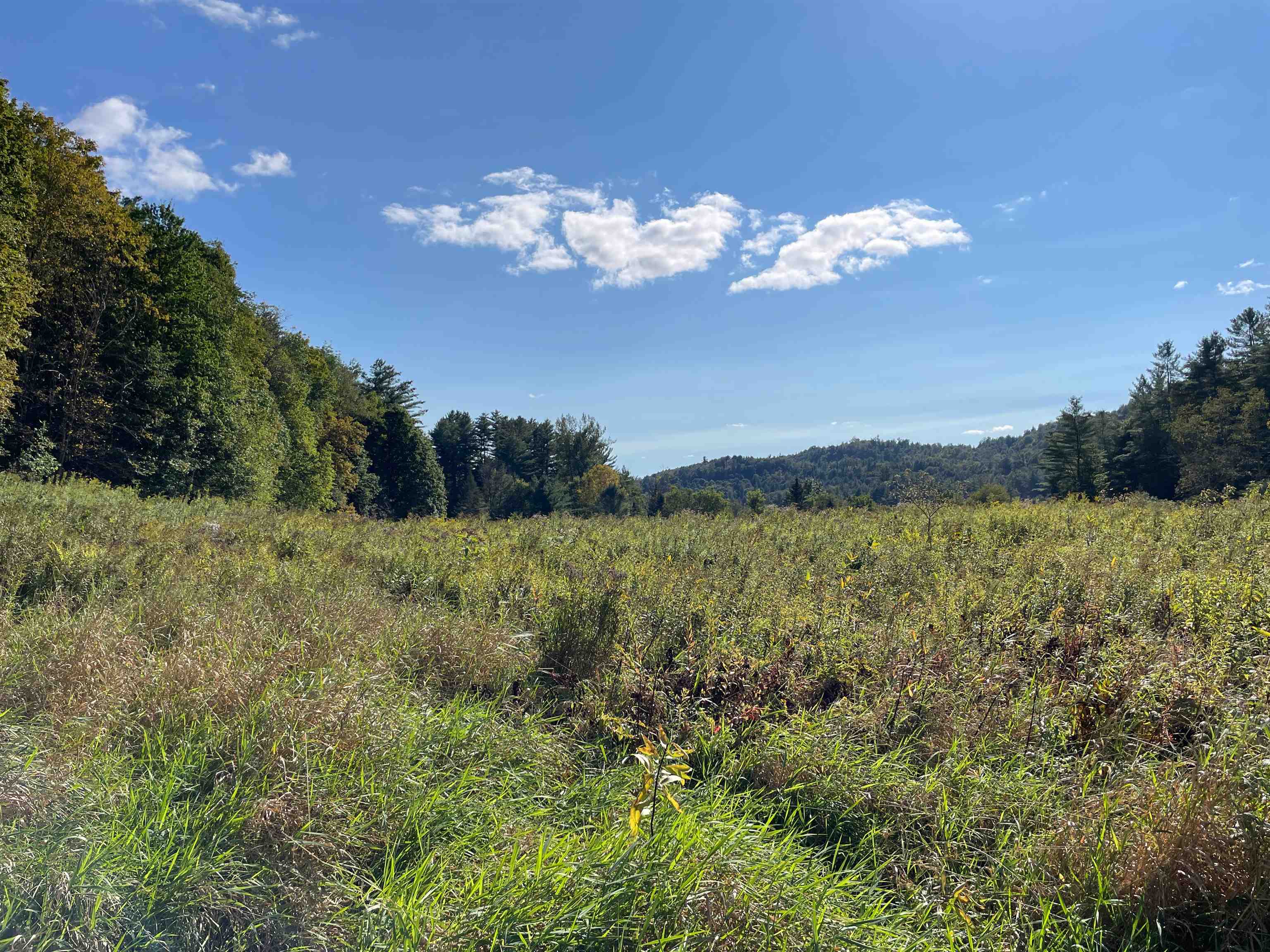 850 Bakersfield Road