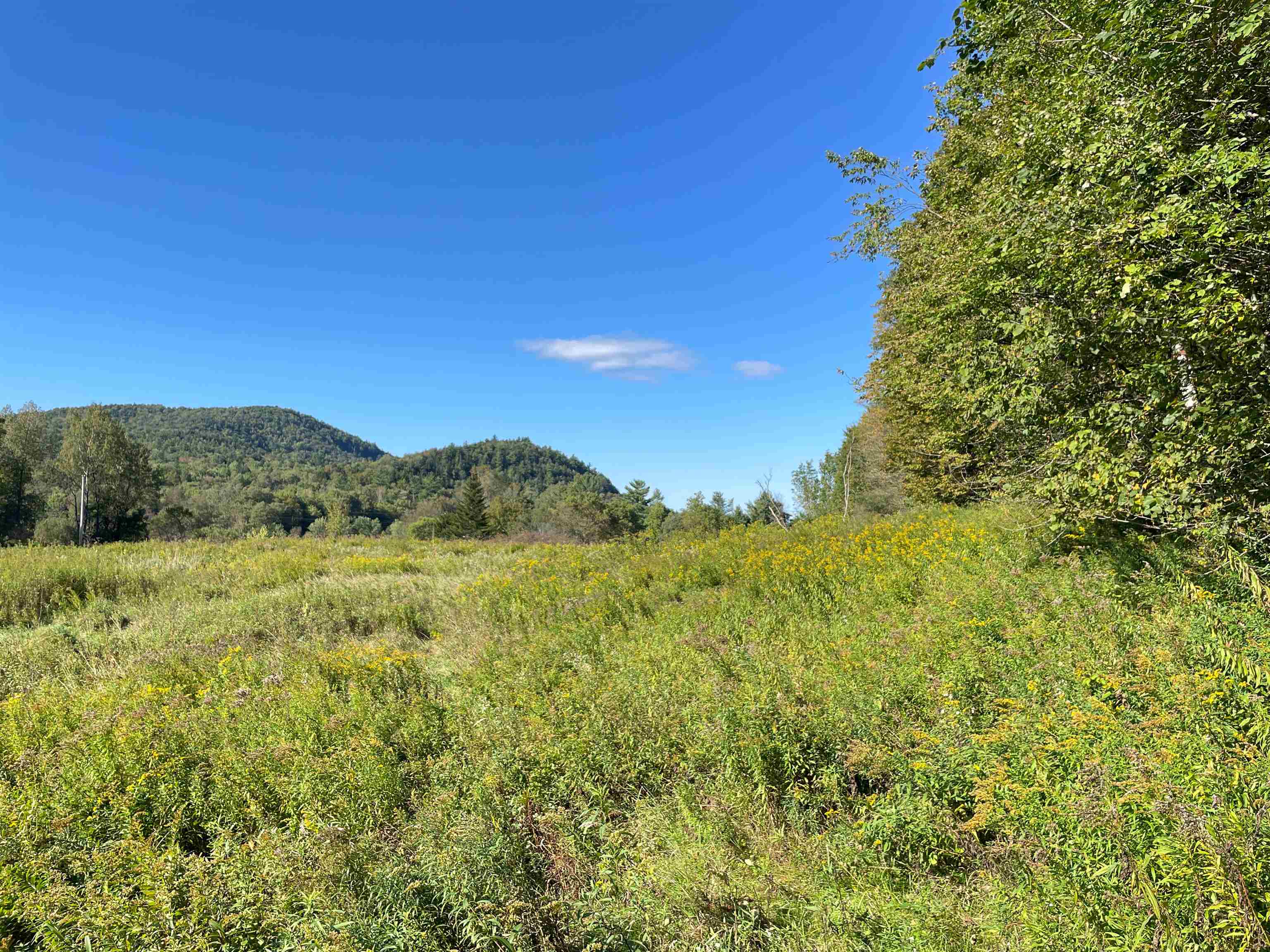 850 Bakersfield Road