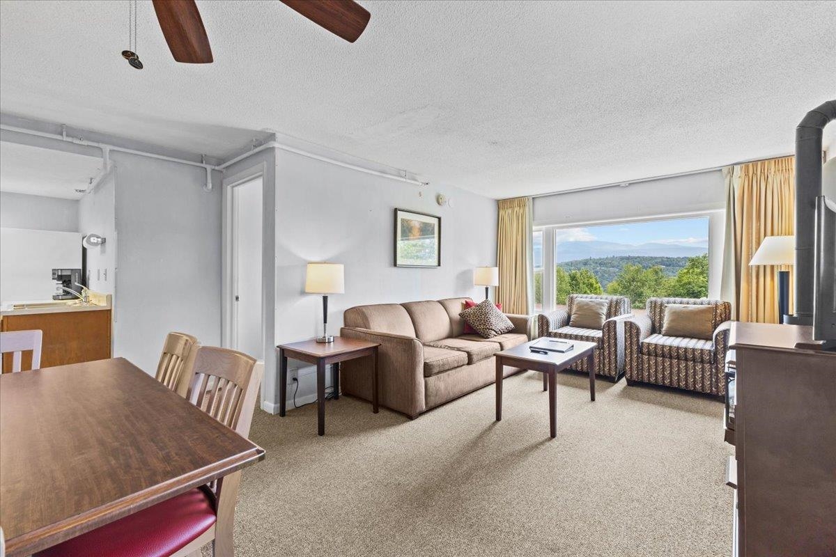 199 Mountainside Drive Unit: D101