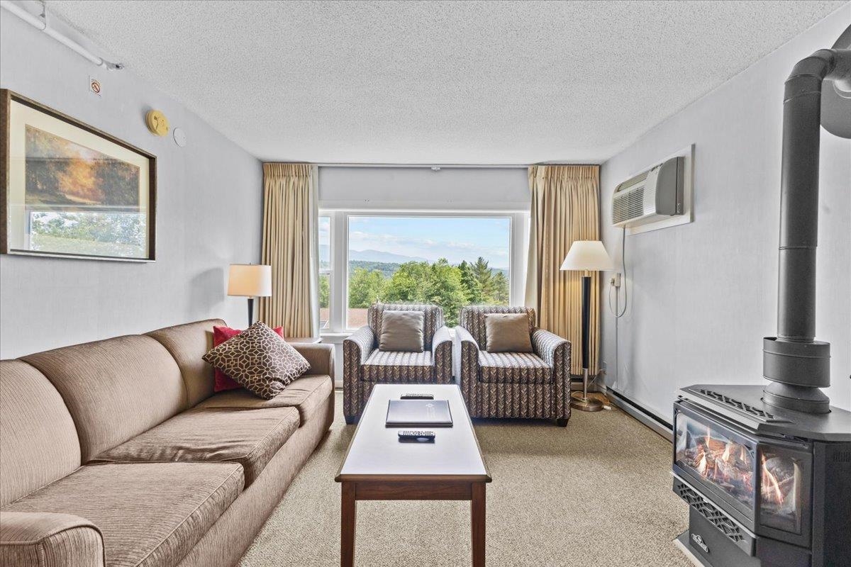 199 Mountainside Drive Unit: D101