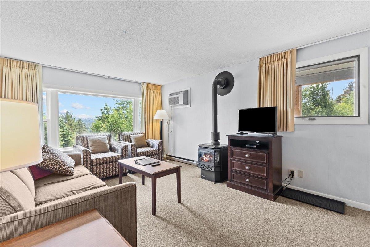 199 Mountainside Drive Unit: D101