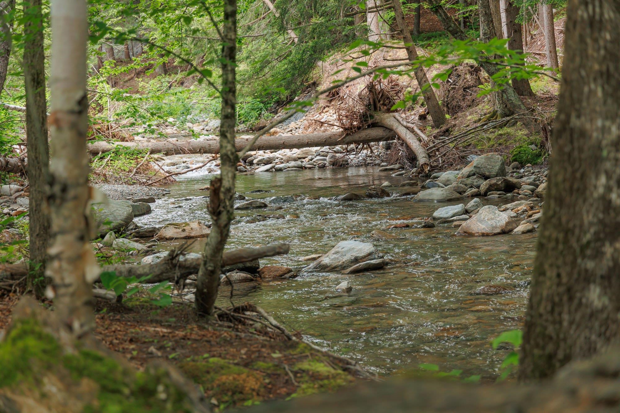 2042 Nebraska Valley