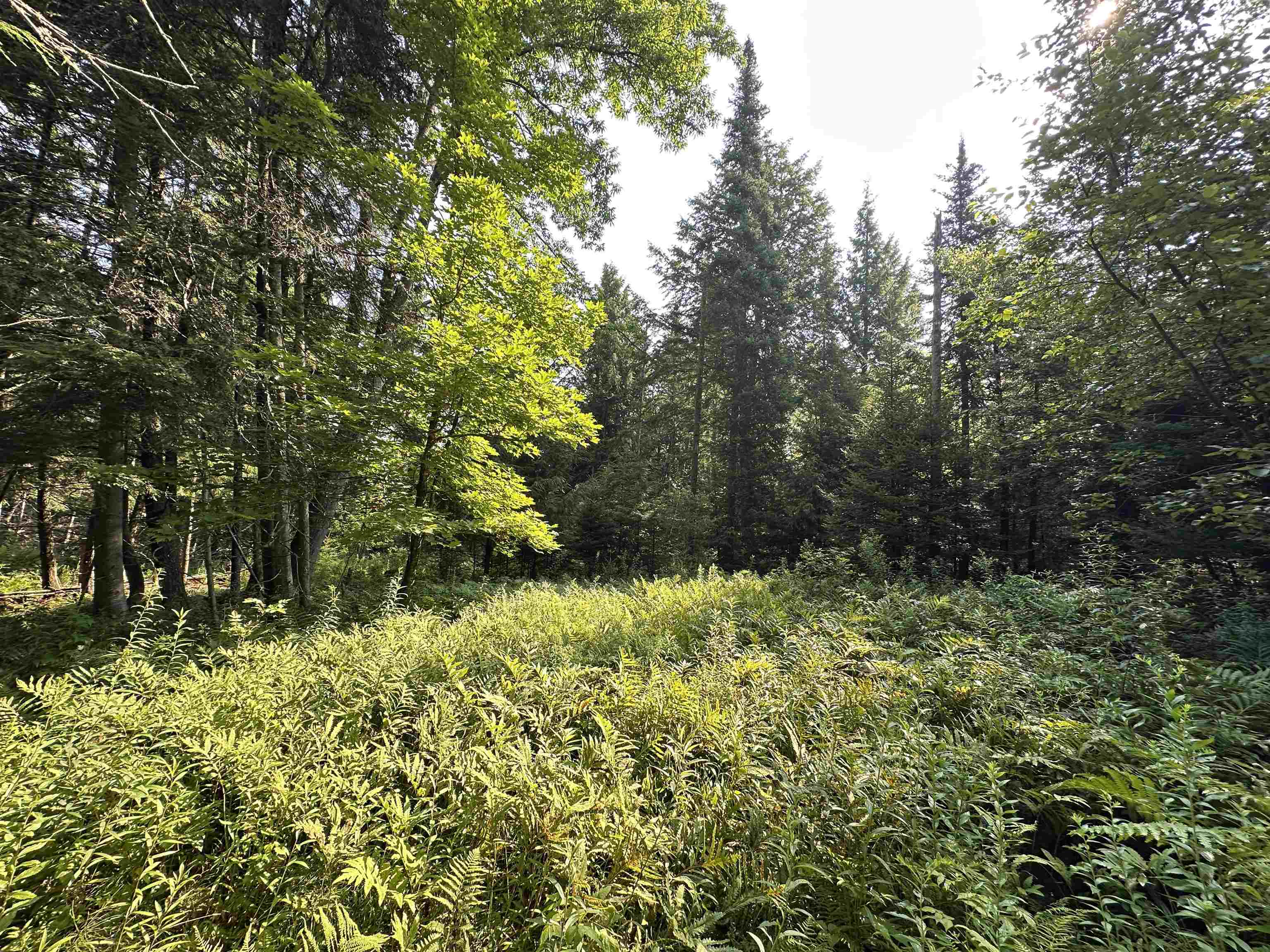 001 Elmore Pond Road