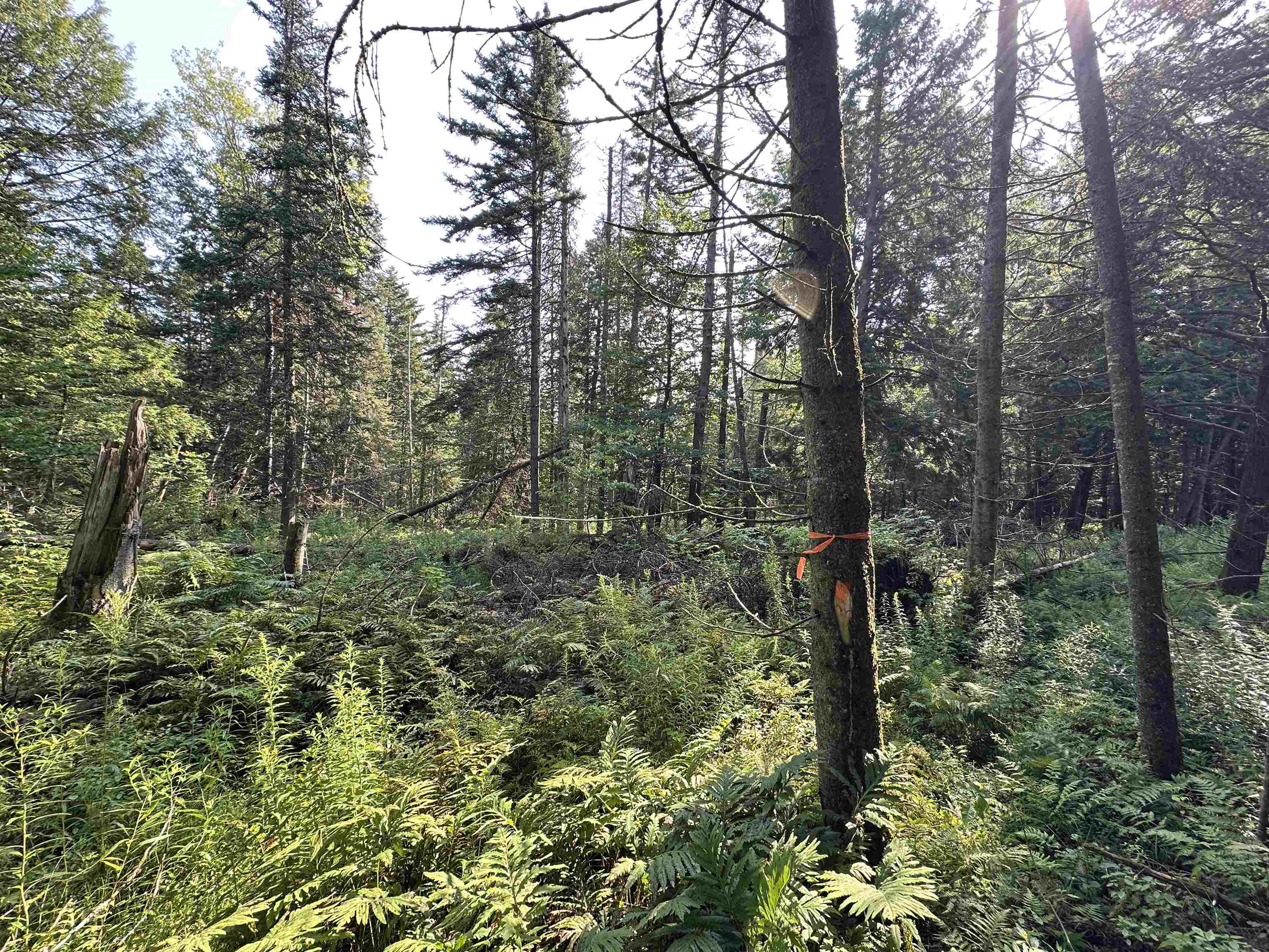 001 Elmore Pond Road