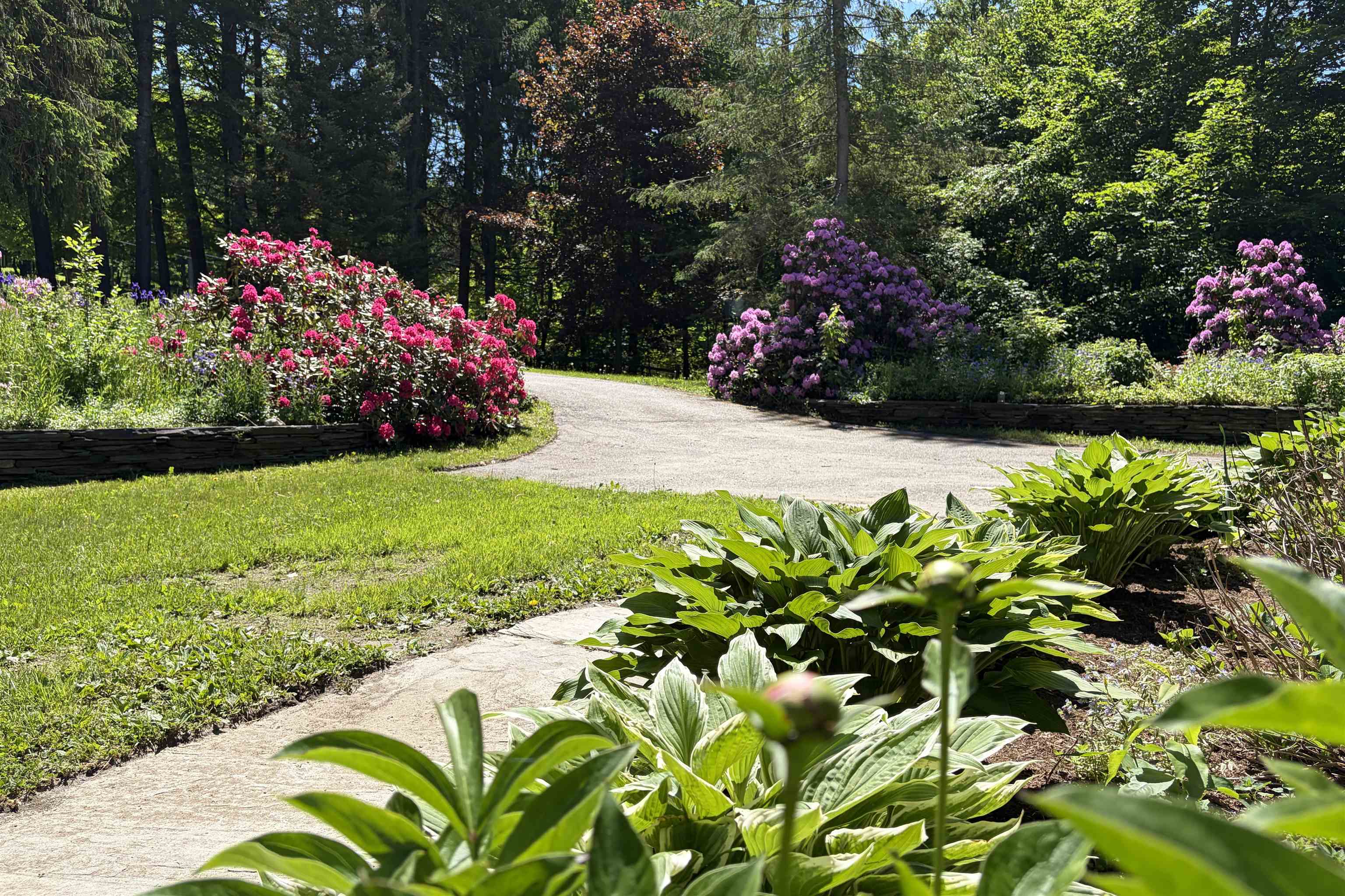 2206 Elmore Mountain Road