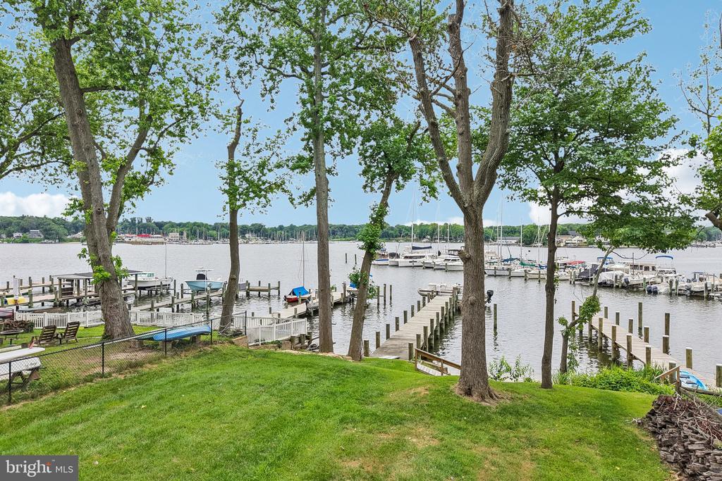 Waterfront lawn framed by leafy trees, overlooking marina docks and boats.