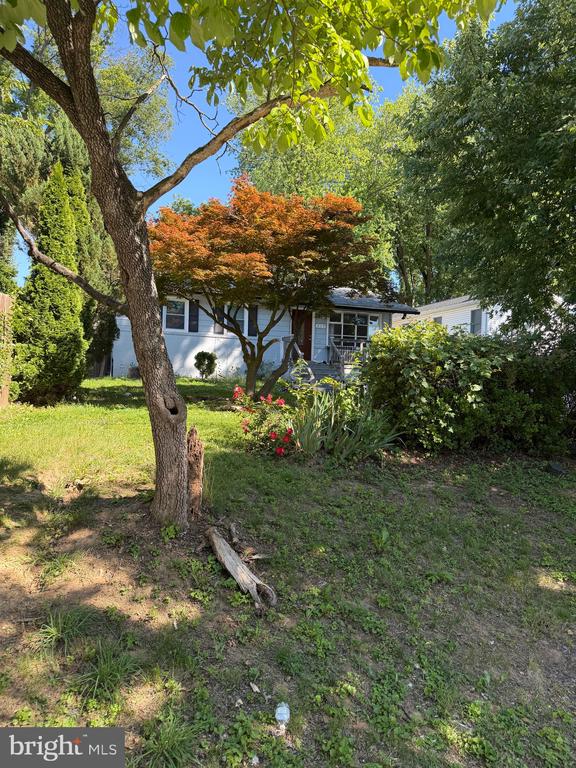 217 CEDAR AVENUE