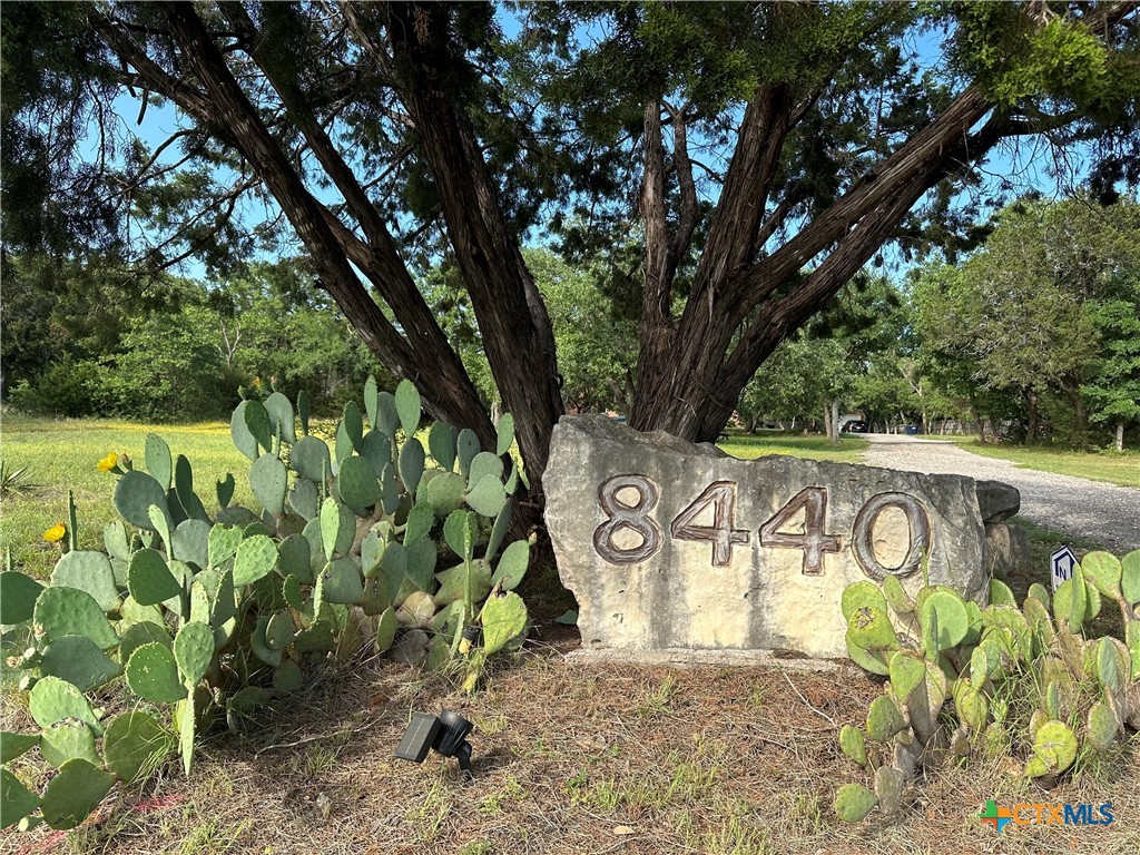 8440 Fm 2484