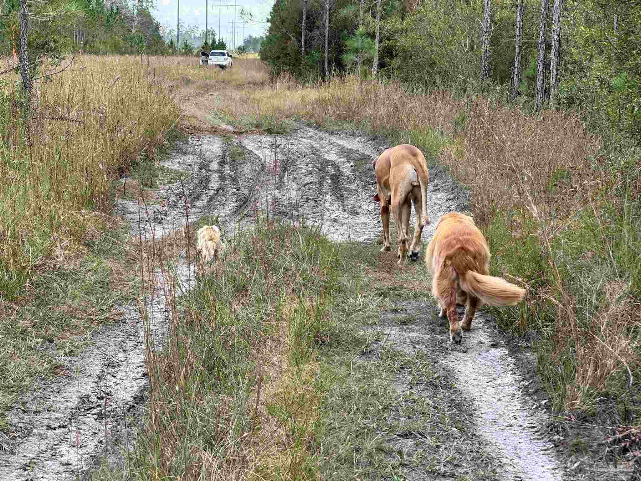 0 Hwy 71 # 47 Unit: Lots 46 & 47