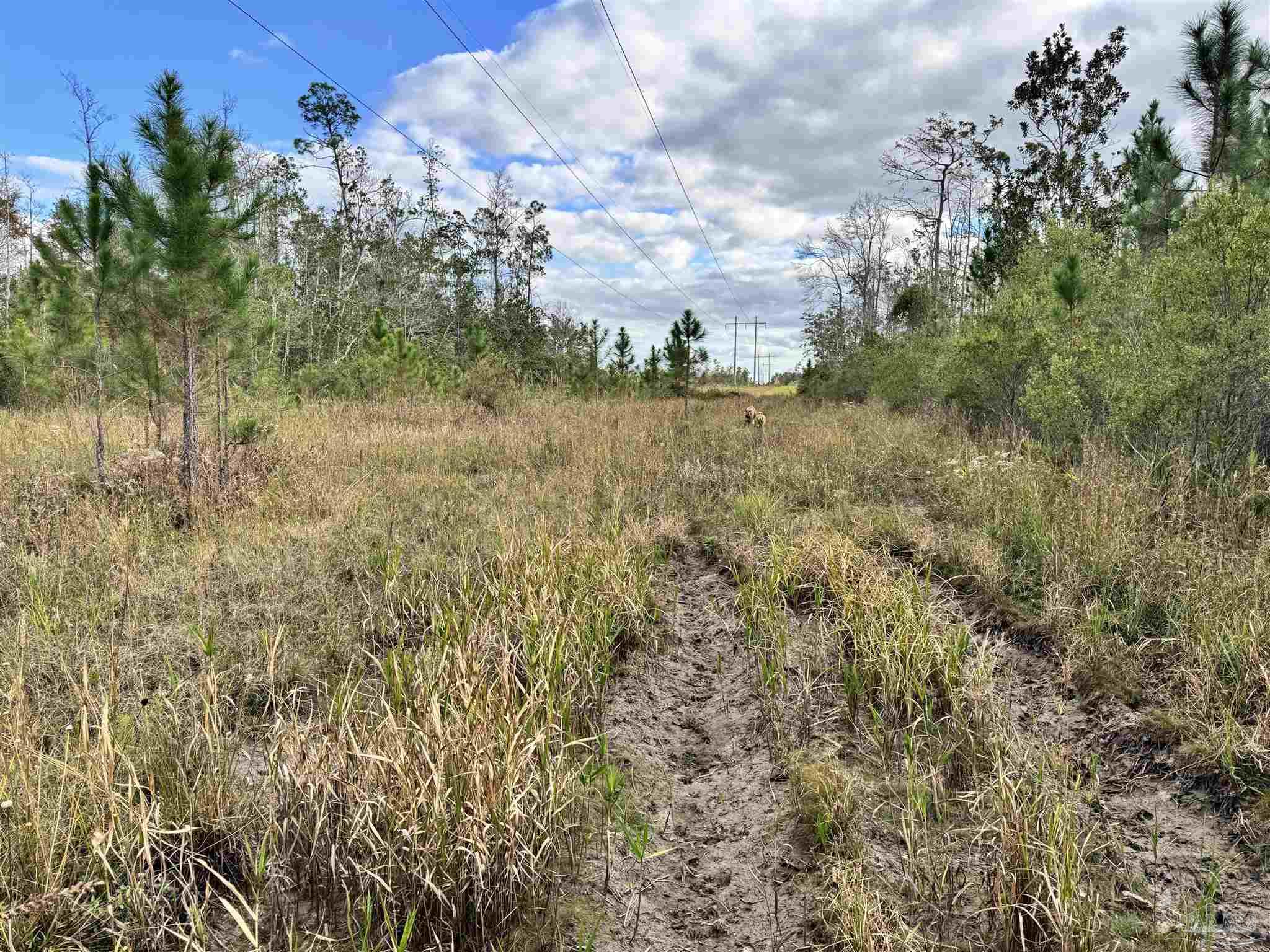 0 Hwy 71 # 47 Unit: Lots 46 & 47