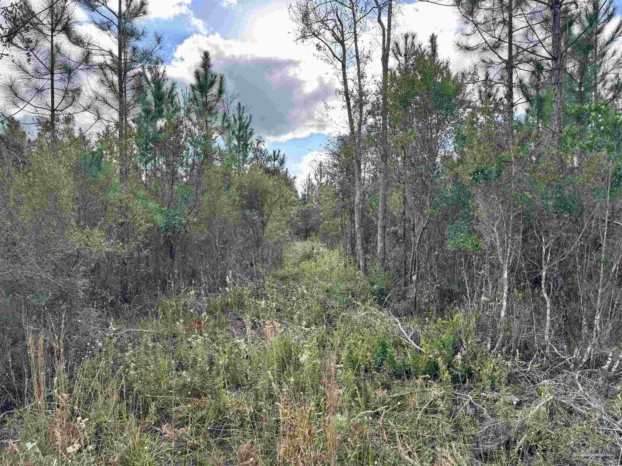 0 Hwy 71 # 47 Unit: Lots 46 & 47