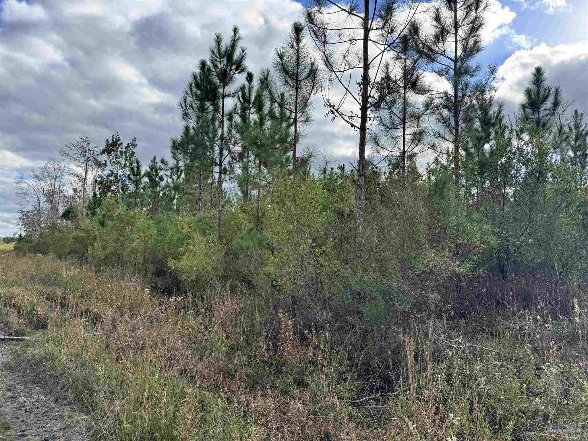 0 Hwy 71 # 47 Unit: Lots 46 & 47