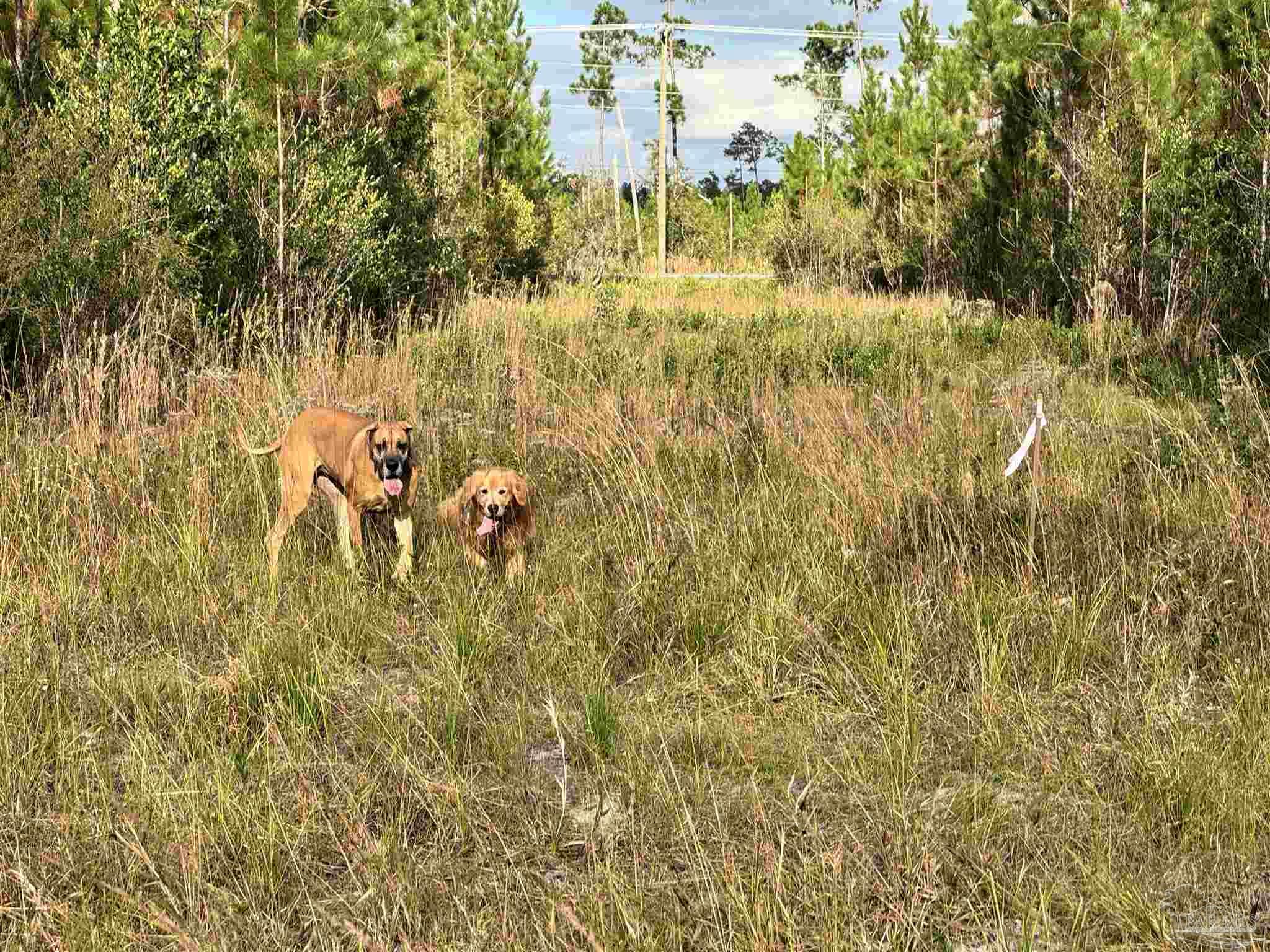 0 Hwy 71 # 47 Unit: Lots 46 & 47