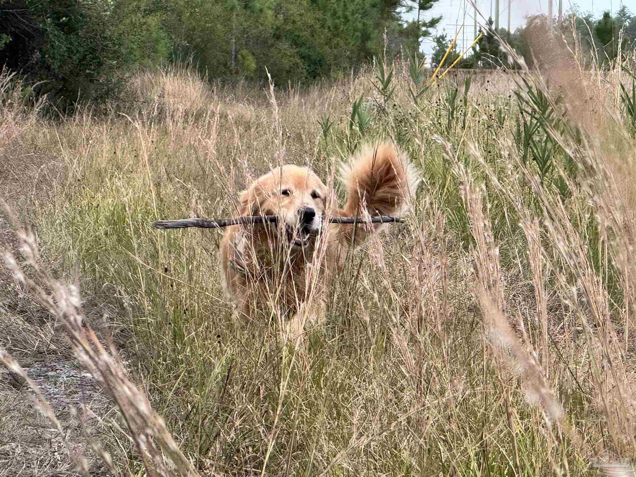 0 Hwy 71 # 47 Unit: Lots 46 & 47