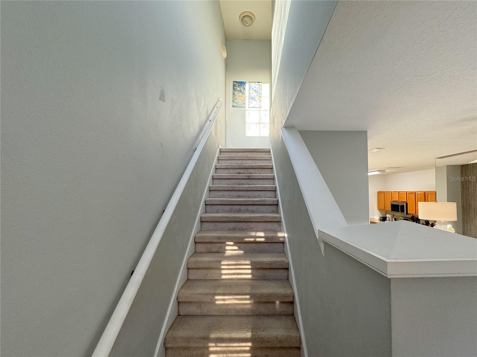 3143 YELLOW LANTANA LN