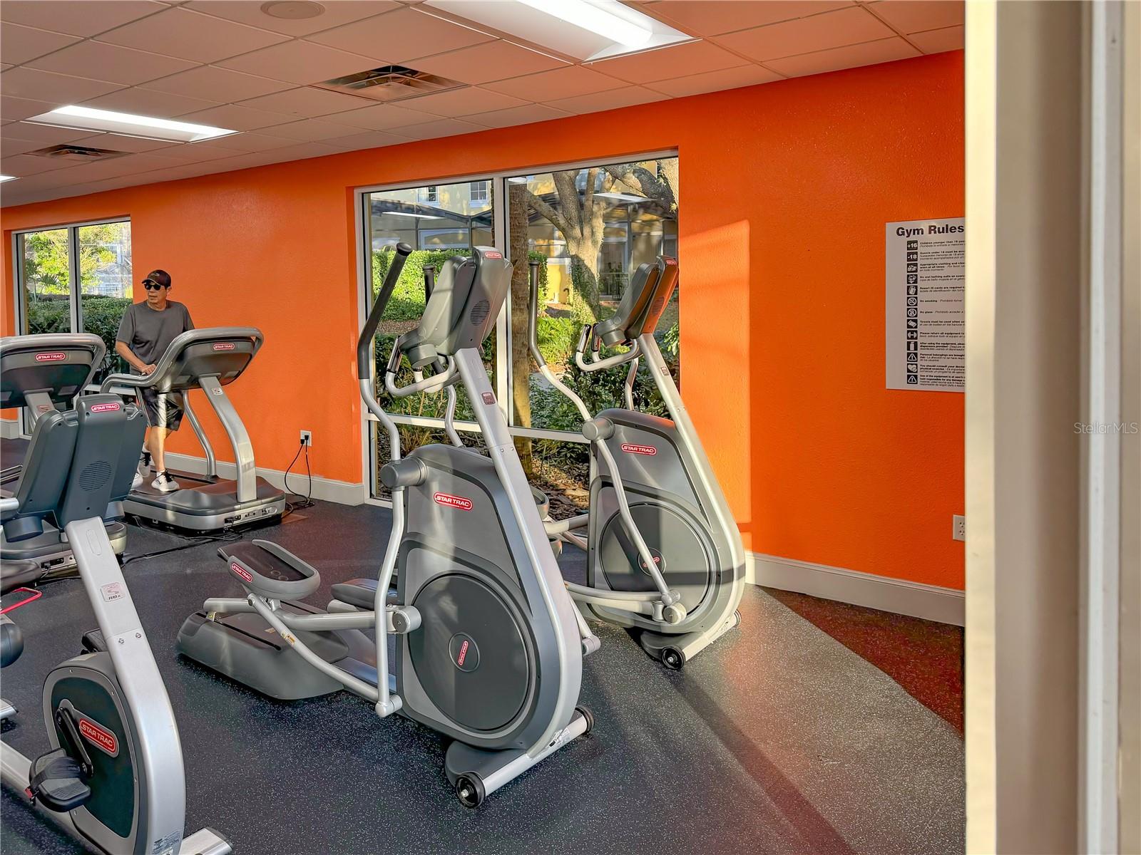 3143 YELLOW LANTANA LN