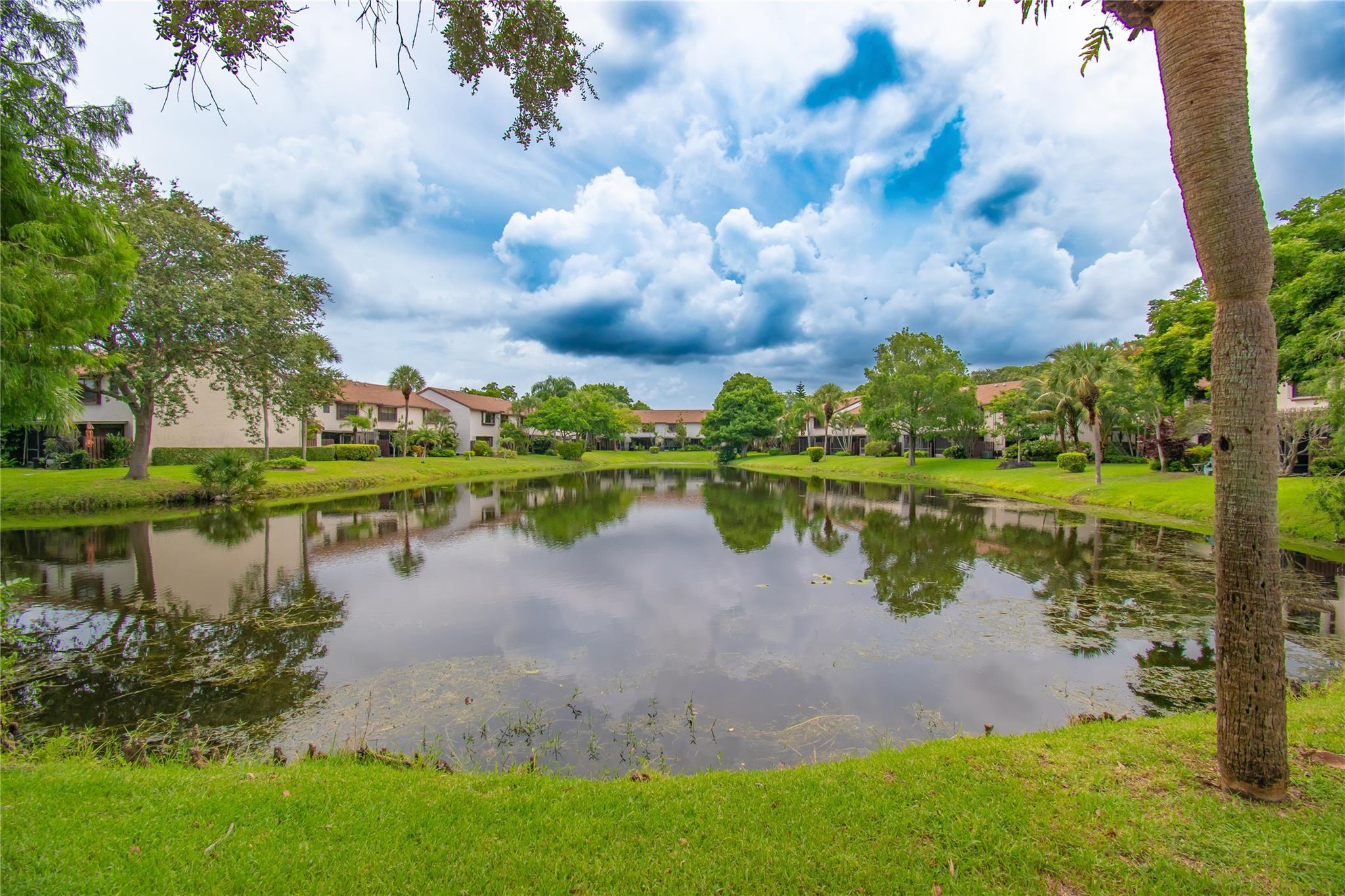 4340 Carambola Cir 703