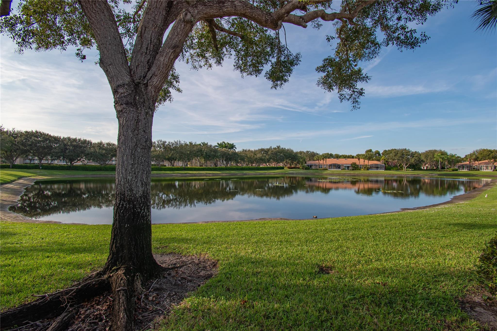 12611 Crystal Pointe Drive C