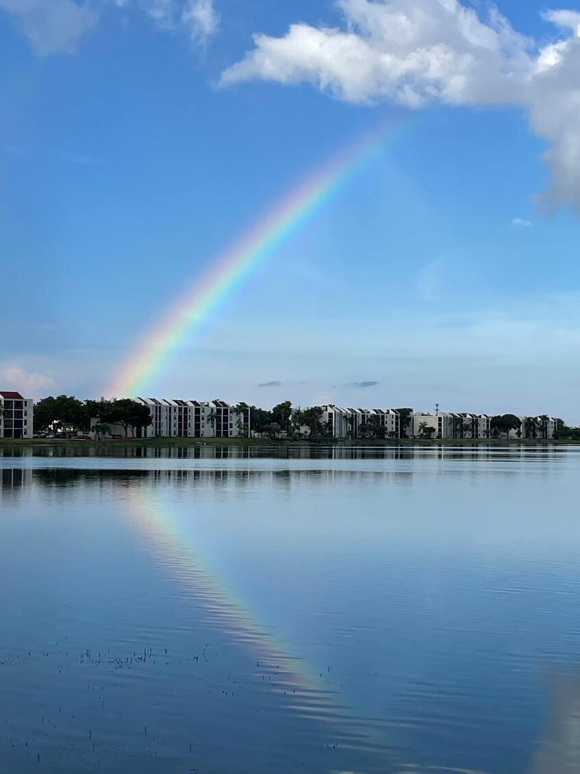 111 Lake Emerald Drive 205