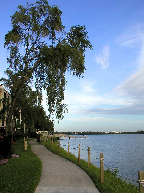 111 Lake Emerald Drive 205