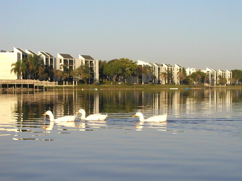 111 Lake Emerald Drive 205