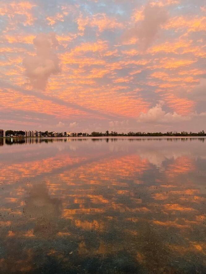 115 Lake Emerald Drive 102