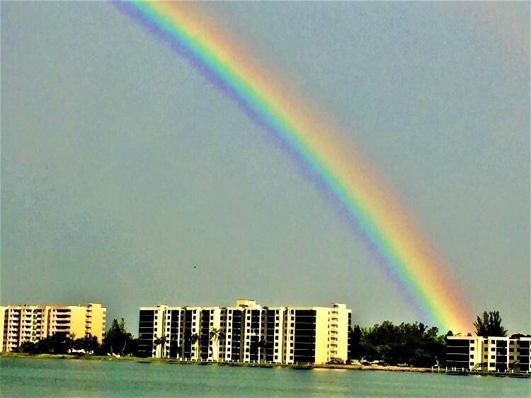 115 Lake Emerald Drive 102