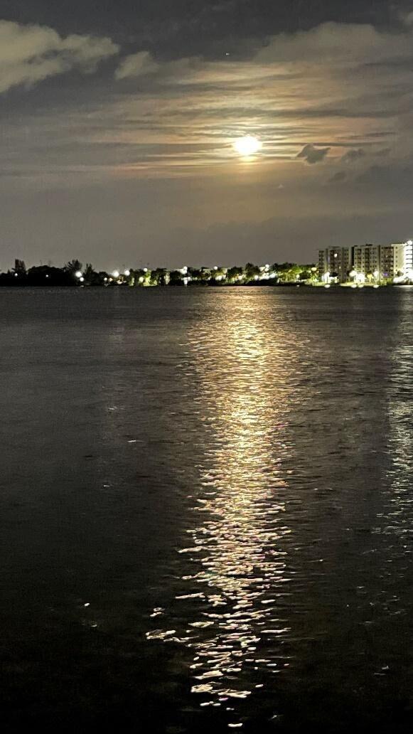 115 Lake Emerald Drive 102