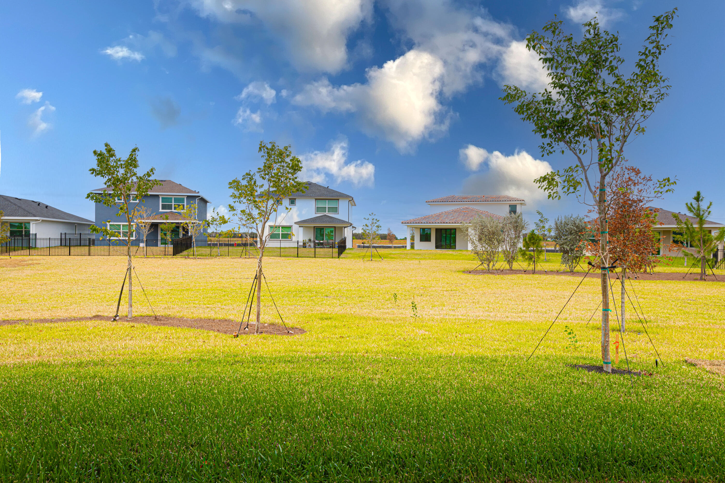 1862 Wandering Willow Way